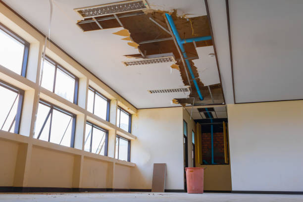 Best Basement water damage restoration  in Hominy, OK