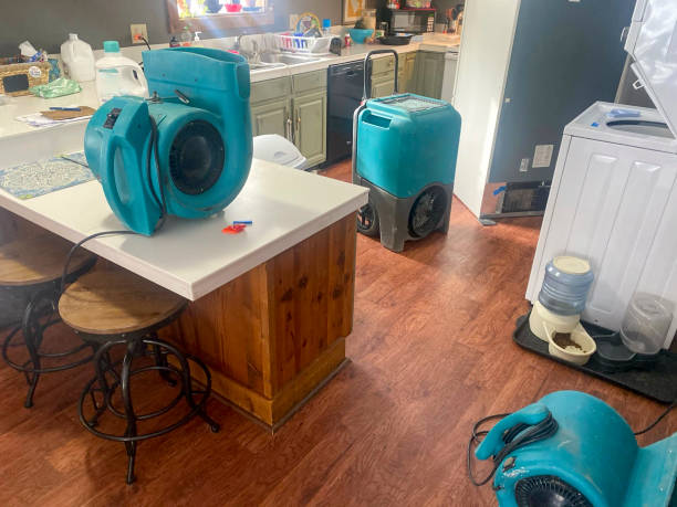 Best Professional water damage repair  in Hominy, OK