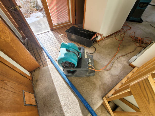 Best Local water damage restoration  in Hominy, OK