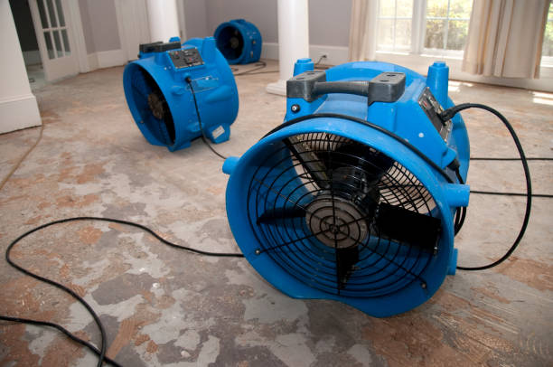 Best Water damage restoration mold remediation  in Hominy, OK