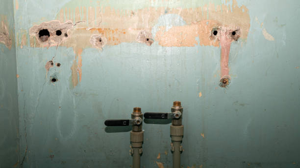 Best Water damage restoration cost  in Hominy, OK