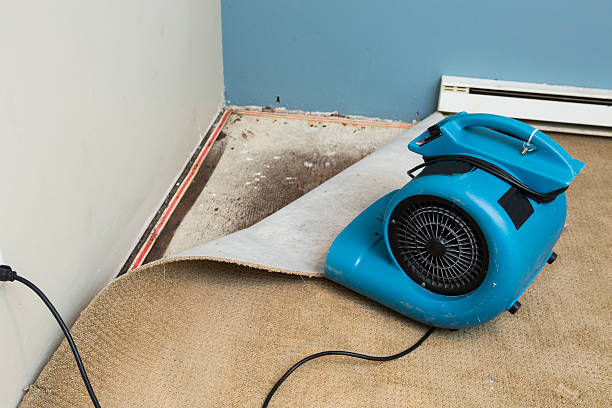 Best Fire Damage Restoration  in Hominy, OK